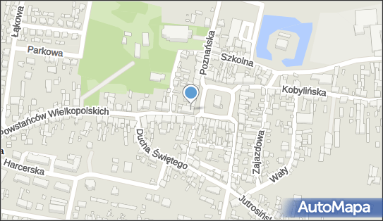 6960006973, Sklep Wielobranżowy Urszula Wenderska, Krobia 
