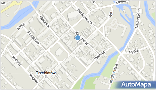 810226639, Alina Polikowska Sklep Wielobranżowy 