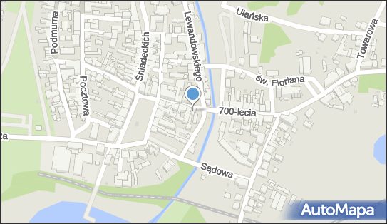 Asyl, 700-lecia 8, Żnin - Odzieżowy - Sklep