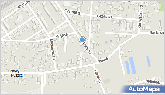 5251563157, Sklep Spożywczo-Przemysłowy Mieczysław Kostrzewa 