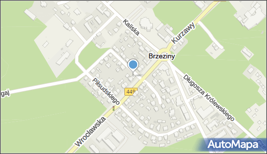 9680544228, Sklep Wielobranżowy Biuro Rachunkowe Aneta Szamotuła 