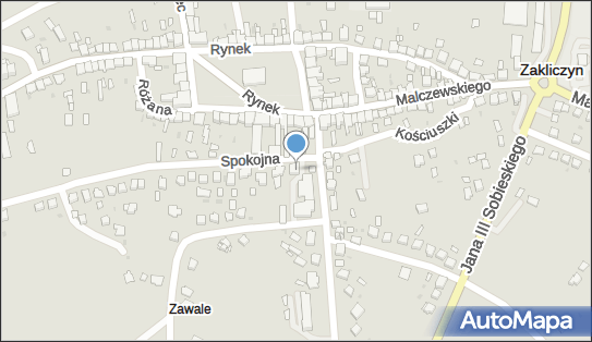 8732903852, Stowarzyszenie Pomocy Osobom Niepełnosprawnym 