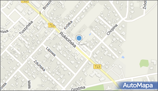 Orientalny - Bar, DW 713, Rokicińska 105H, Andrespol 95-020 - Orientalny - Bar