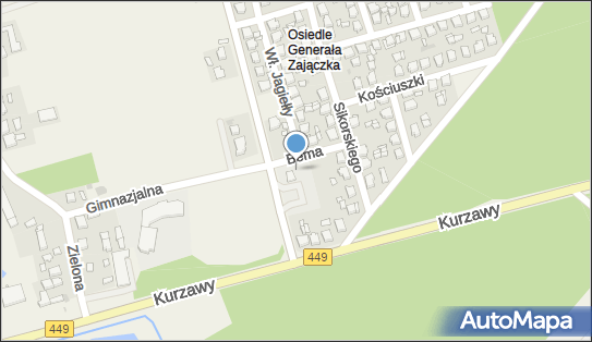 ORLEN Paczka Automaty, Zajączka 4, Brzeziny 62-874, godziny otwarcia