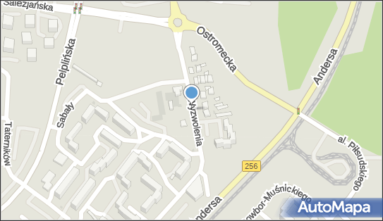 ORLEN Paczka Automaty, Wyzwolenia 73, Bydgoszcz 85-790, godziny otwarcia