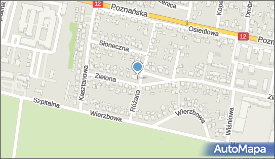 ORLEN Paczka Automaty, Zielona 38, Pleszew 63-300, godziny otwarcia
