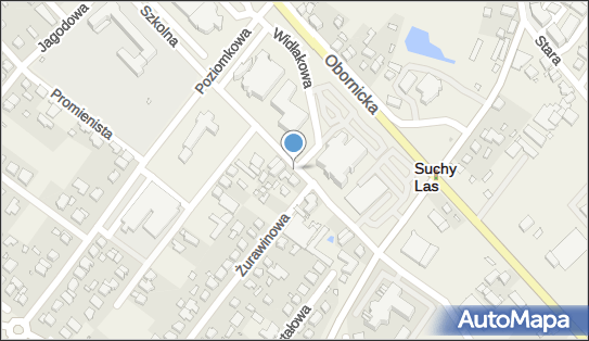 ORLEN Paczka Automaty, Szkolna 5, Suchy Las 62-002, godziny otwarcia