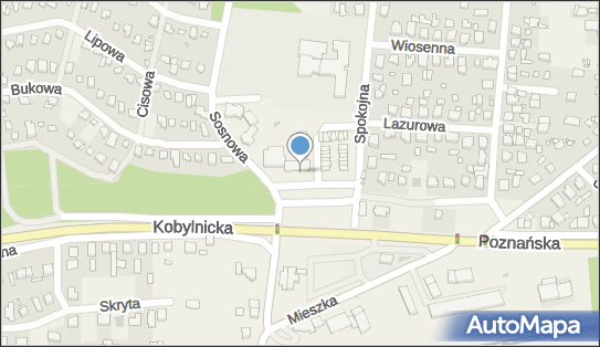 ORLEN Paczka Automaty, Plac Piastowski 2, Jerzykowo 62-007, godziny otwarcia