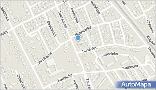 ORLEN Paczka Automaty, Tatrzańska 35, Kalisz 62-800, godziny otwarcia