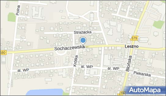 ORLEN Paczka Automaty, Sochaczewska 21, Leszno 05-084, godziny otwarcia