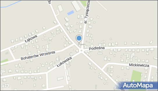 ORLEN Paczka Automaty, Al. 1000-lecia 20, Czersk 89-650, godziny otwarcia