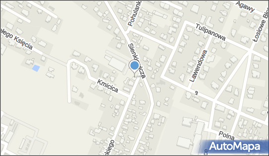 ORLEN Paczka Automaty, Sienkiewicza 75, Stare Babice 05-082, godziny otwarcia