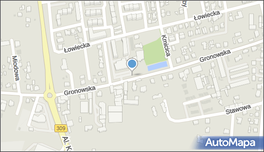 ORLEN Paczka Automaty, Gronowska 11, Leszno 64-100, godziny otwarcia