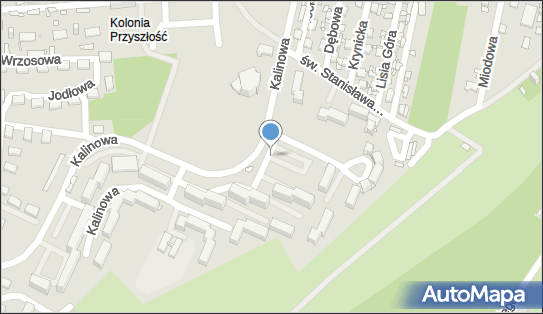 ORLEN Paczka Automaty, Kalinowa 153, Sosnowiec 41-208, godziny otwarcia