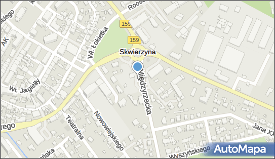 ORLEN Paczka Automaty, Międzyrzecka 1a, Skwierzyna 66-440, godziny otwarcia