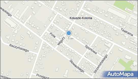 ORLEN Paczka Automaty, Wigury 12, Koluszki 95-040, godziny otwarcia