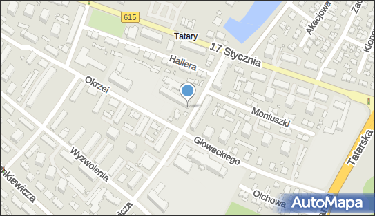 ORLEN Paczka Automaty, Narutowicza 2, Ciechanów 06-400, godziny otwarcia