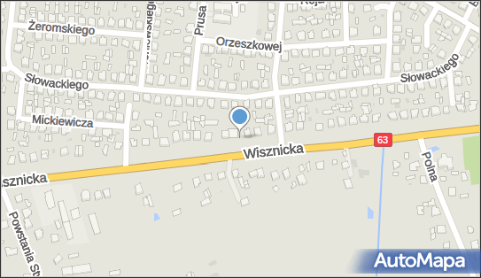 ORLEN Paczka Automaty, Wisznicka 19A, Radzyń Podlaski 21-300, godziny otwarcia