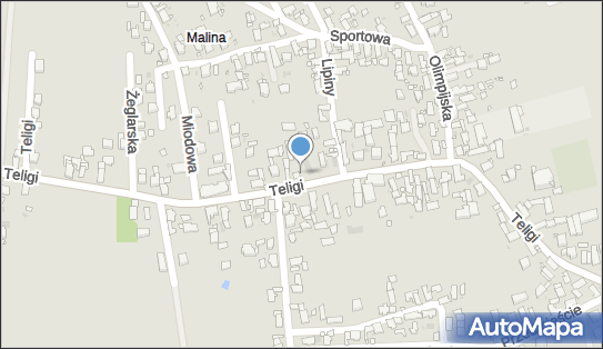 ORLEN Paczka Automaty, Leonida Teligi 59A, Opole 45-001, godziny otwarcia