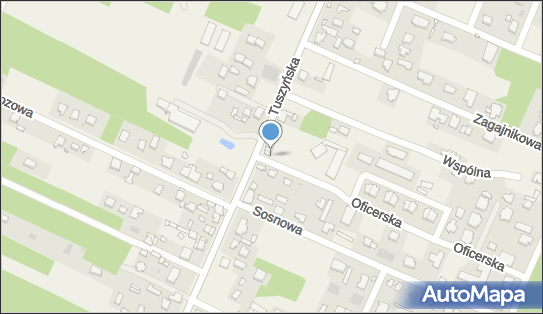 ORLEN Paczka Automaty, Tuszyńska 96, Wiśniowa Góra 95-020, godziny otwarcia