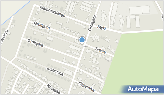 ORLEN Paczka Automaty, Grottgera 31, Leszno 64-100, godziny otwarcia