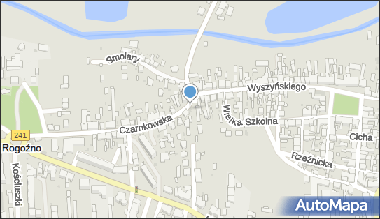 ORLEN Paczka Automaty, Czarnkowska 1, Rogoźno 64-610, godziny otwarcia