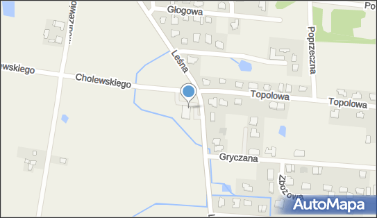 ORLEN Paczka Punkty, Leśna 68, Osielsko 86-031, godziny otwarcia