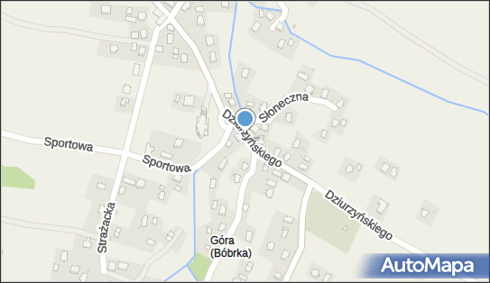 ORLEN Paczka Punkty, Dziurzyńskiego Antoniego, ks. 46, Bóbrka 38-458, godziny otwarcia