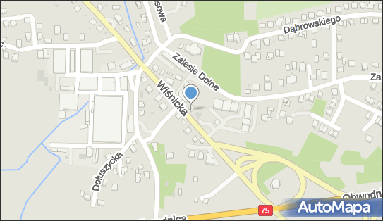 ORLEN Paczka Punkty, Wiśnicka 18a, Bochnia 32-700, godziny otwarcia