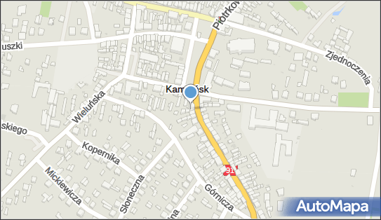 ORLEN Paczka Punkty, Słowackiego 6, Kamieńsk 97-360, godziny otwarcia