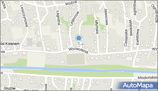ORLEN Paczka Punkty, Wyzwolenia 256, Buczkowice 43-374, godziny otwarcia