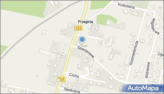 ORLEN Paczka Punkty, Spacerowa 1, Siemianice 76-200, godziny otwarcia