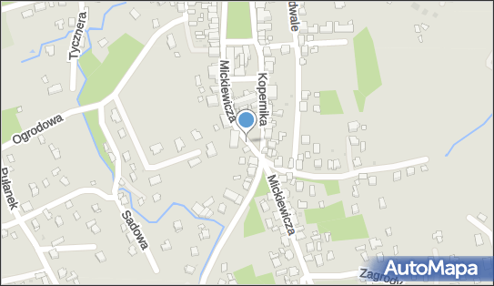 ORLEN Paczka Punkty, Mickiewicza 12, Tyczyn 36-020, godziny otwarcia