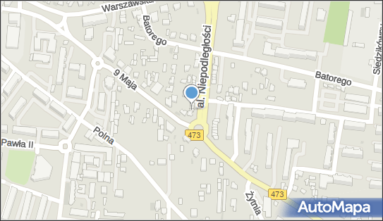 ORLEN Paczka Punkty, Al. Niepodległości 5, Łask 98-100, godziny otwarcia