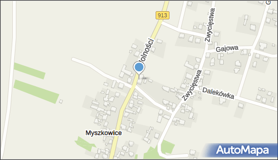 ORLEN Paczka Punkty, Strażacka 1, Myszkowice 42-595, godziny otwarcia