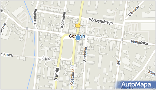 ORLEN Paczka Punkty, Rynek 9, Gostynin 09-500, godziny otwarcia