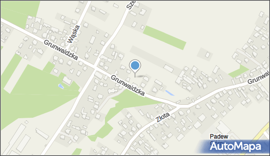 ORLEN Paczka Punkty, Grunwaldzka 46, Padew Narodowa 39-340, godziny otwarcia