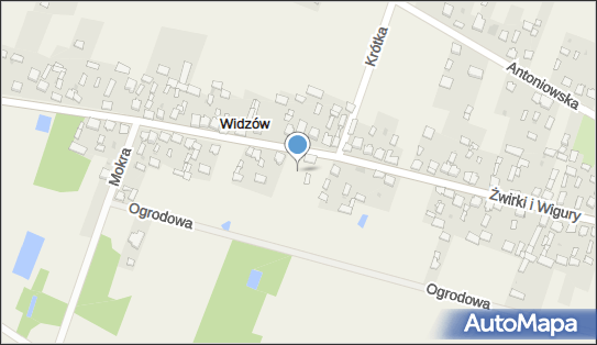 ORLEN Paczka Punkty, Żwirki i Wigury 77, Widzów 42-282, godziny otwarcia