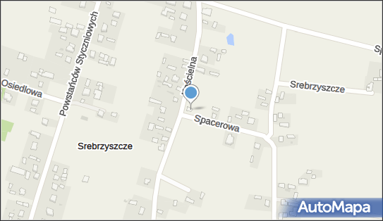 ORLEN Paczka Punkty, Spacerowa 12, Srebrzyszcze 22-100, godziny otwarcia
