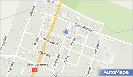 ORLEN Paczka Punkty, Wolności 1, Szlichtyngowa 67-407, godziny otwarcia