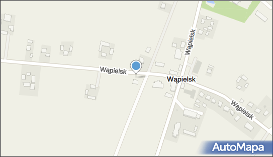 ORLEN Paczka Punkty, Wąpielsk 2a, Wąpielsk 87-337, godziny otwarcia
