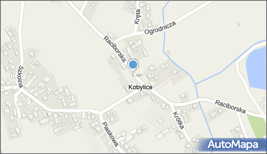 ORLEN Paczka Punkty, Raciborska 25, Kobylice 47-253, godziny otwarcia