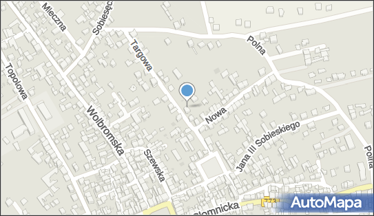 ORLEN Paczka Punkty, Targowa 10, Skała 32-043, godziny otwarcia