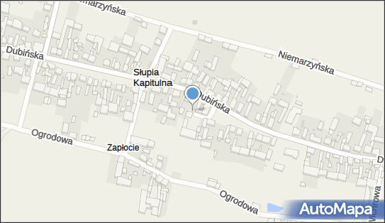 ORLEN Paczka Punkty, Słupia Kapitulna 40A, Słupia Kapitulna 63-900, godziny otwarcia