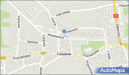 ORLEN Paczka Punkty, Mickiewicza 13, Tuliszków 62-740, godziny otwarcia