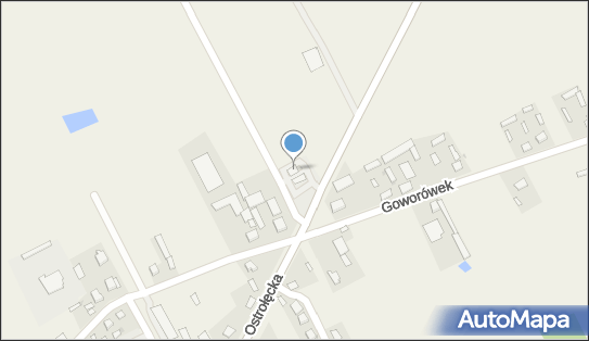 ORLEN - Stacja paliw, Goworówek 39A, Goworówek 07-440, godziny otwarcia, numer telefonu