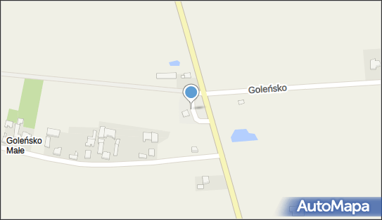 ORLEN - Stacja paliw, Goleńsko 72A, Chąśno 99-413, godziny otwarcia, numer telefonu