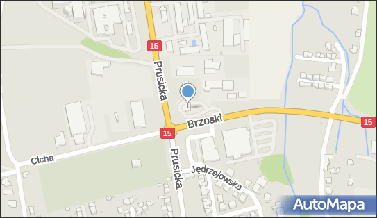 ORLEN - Stacja paliw, Siostry Hilgi Brzoski 1, Trzebnica 55-100, godziny otwarcia, numer telefonu