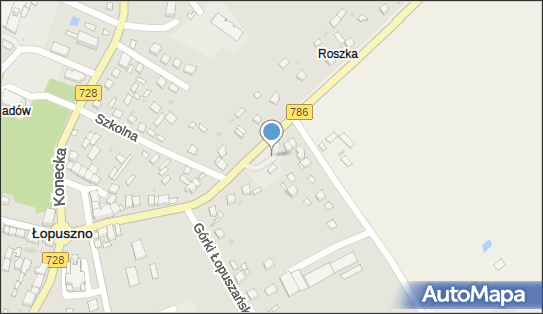 ORLEN - Stacja paliw, Kielecka 10A, Łopuszno 26-070, godziny otwarcia, numer telefonu