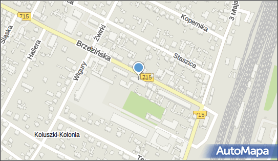 Osk Aleks Paweł Aleksandrowicz, Brzezińska 18, Koluszki 95-040 - Ośrodek Szkolenia Kierowców, numer telefonu